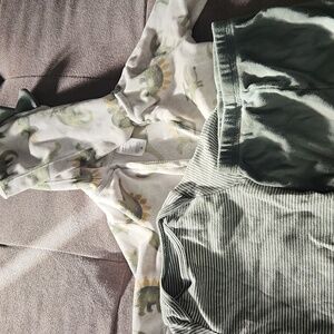 Carter's Green and Gray Dinosaur Matching Set